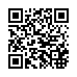 智慧城市協調性 平安城市建設發展十年