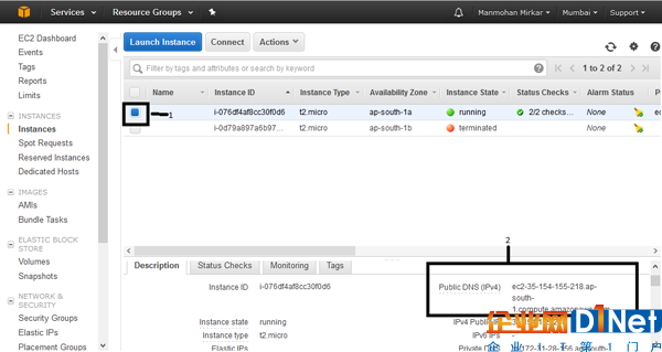 Public DNS value of the VM