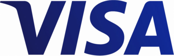 visa_2014_logo_detail.png