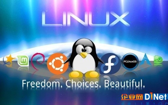 Linux實驗室：最常用的Linux系統監控命令 