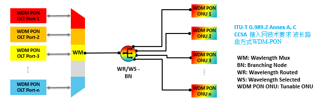  WDM-PON體系架構