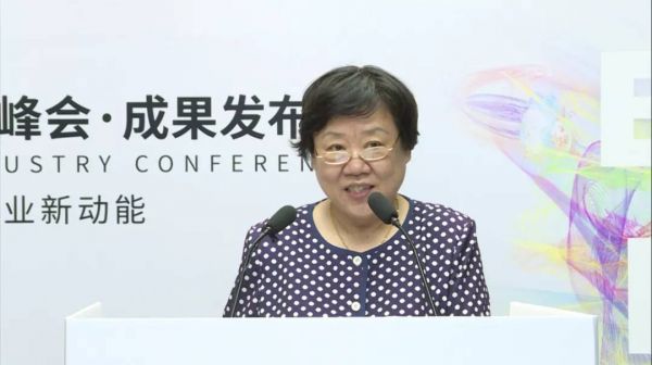 大數據峰會20202-中國通信標準化協會副秘書長代曉慧